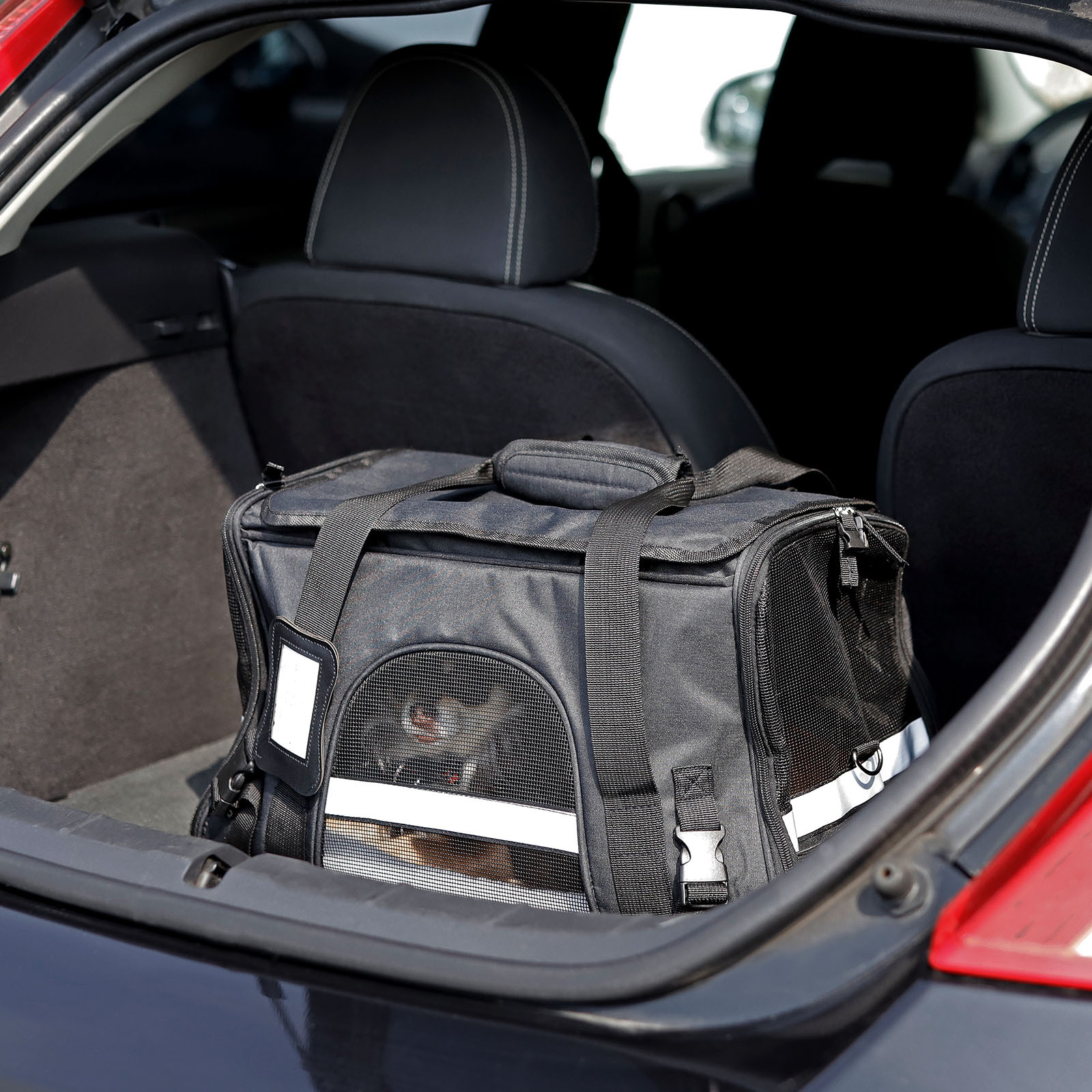 Lionto Tragetaschen Lionto Transporttasche für Hunde & Katzen schwarz
