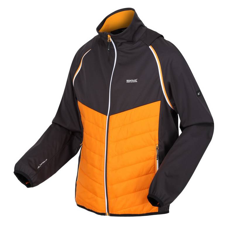 Regatta Steren Funktionsjacke Herren