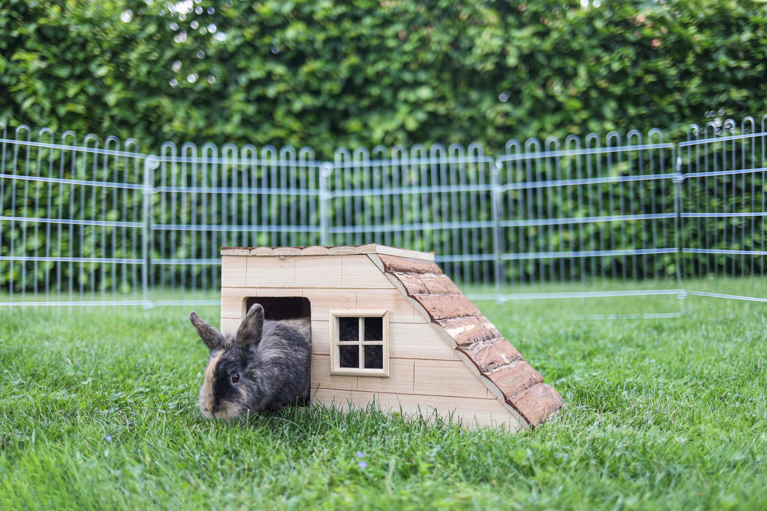 Kerbl Käfigzubehör Kerbl Pet Nagerhaus mit Rampe Nature