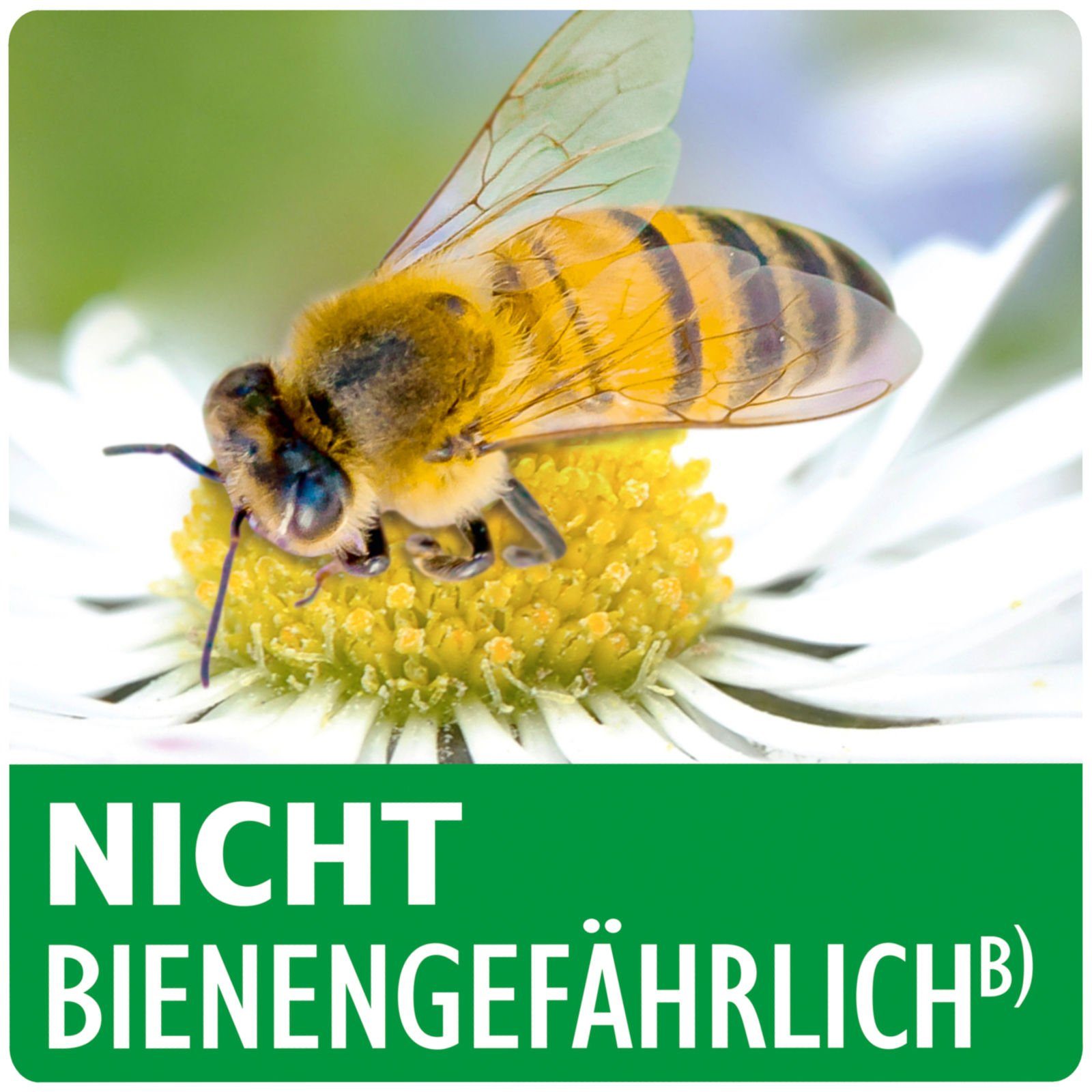 Neudorff Insektenvernichtungsmittel Neudorff Neudosan AF Neu Blattlausfrei - 500 ml