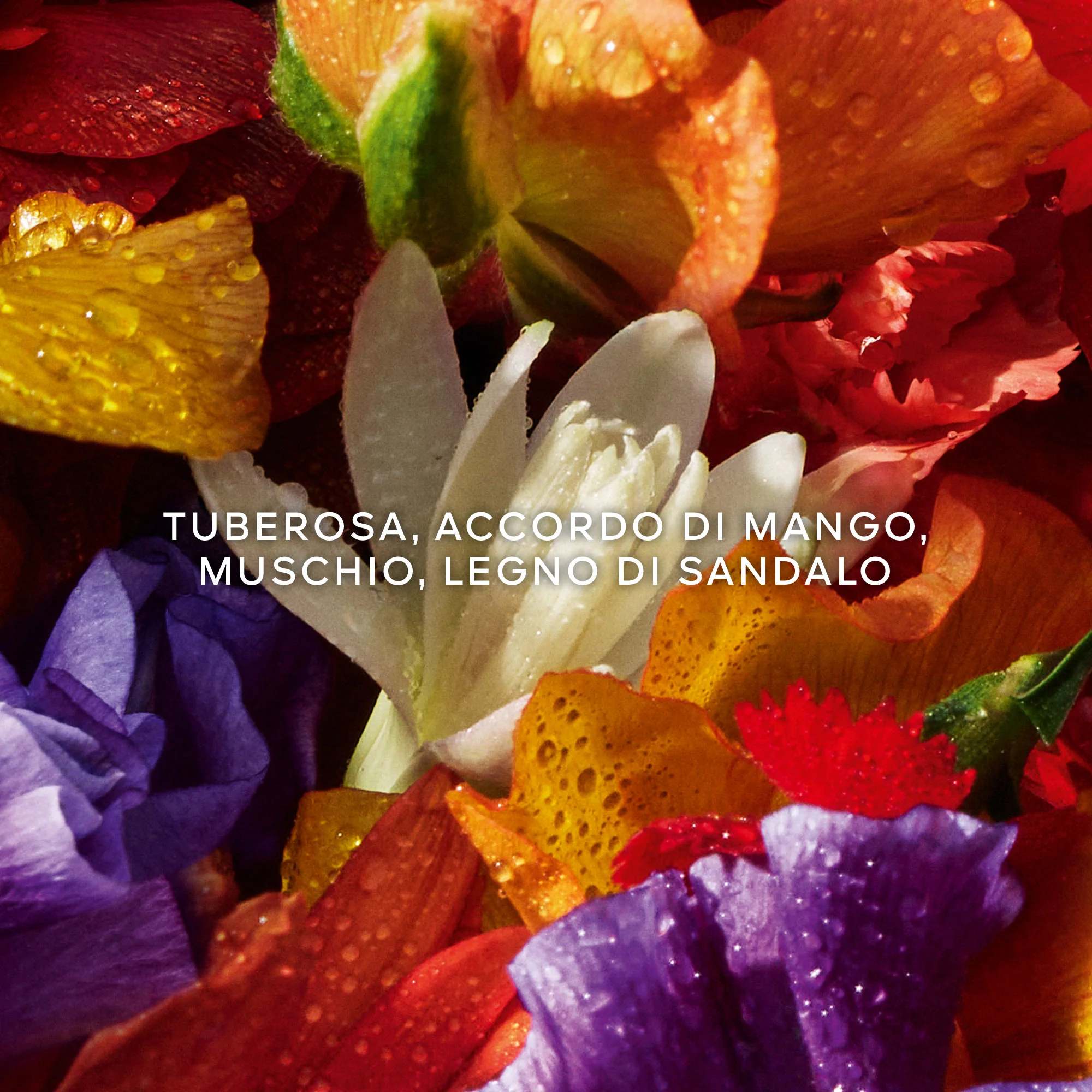Parfumovaná voda Aqua Allegoria Florabloom Forte