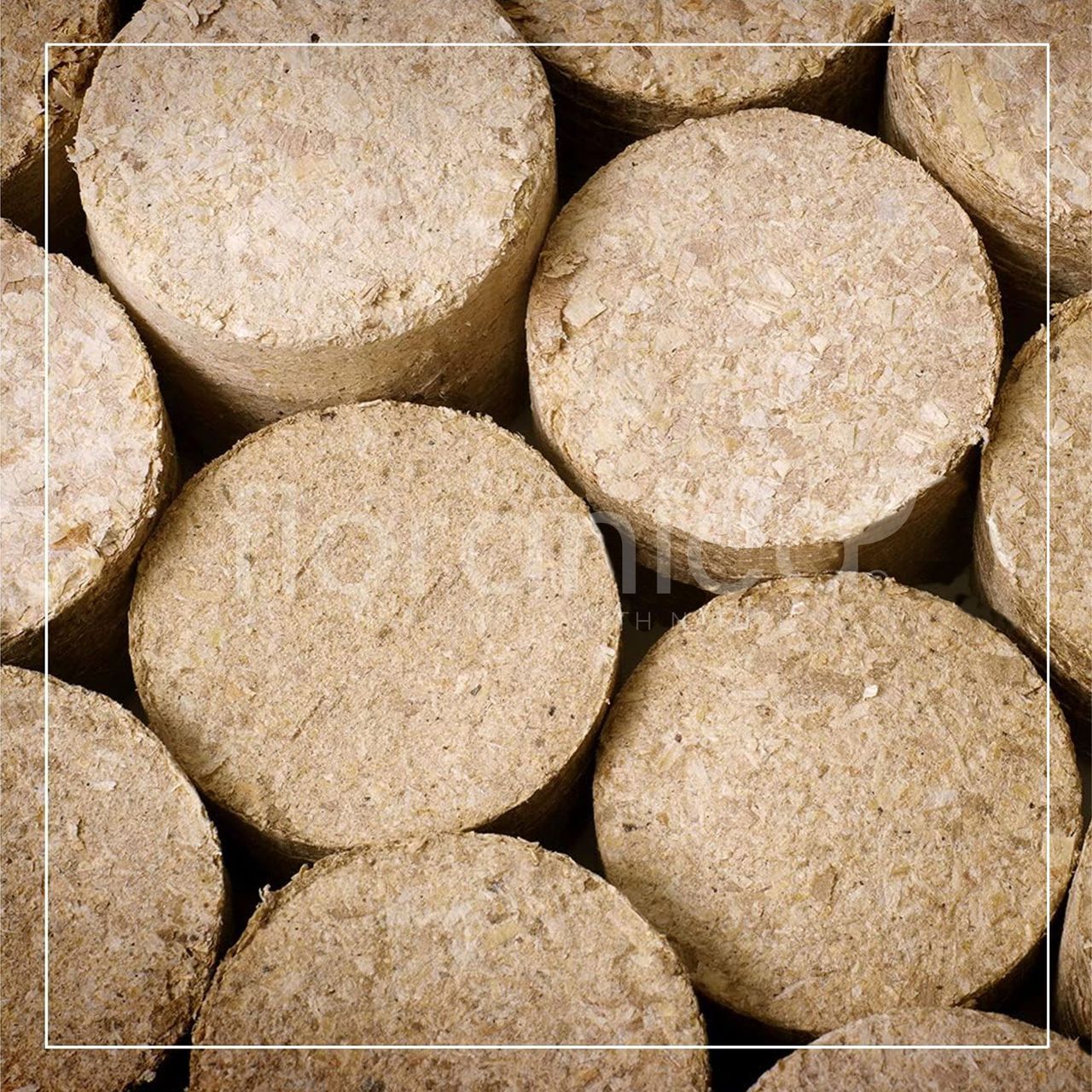 Pemicont Floranica Holzbriketts 100% Gepresste Rundholzbriketts 20kg im Karton Brikett Ideal für Kamin Ofen Raketenofen Grill Umweltfreundlich Hohe Brennwert Raucharm