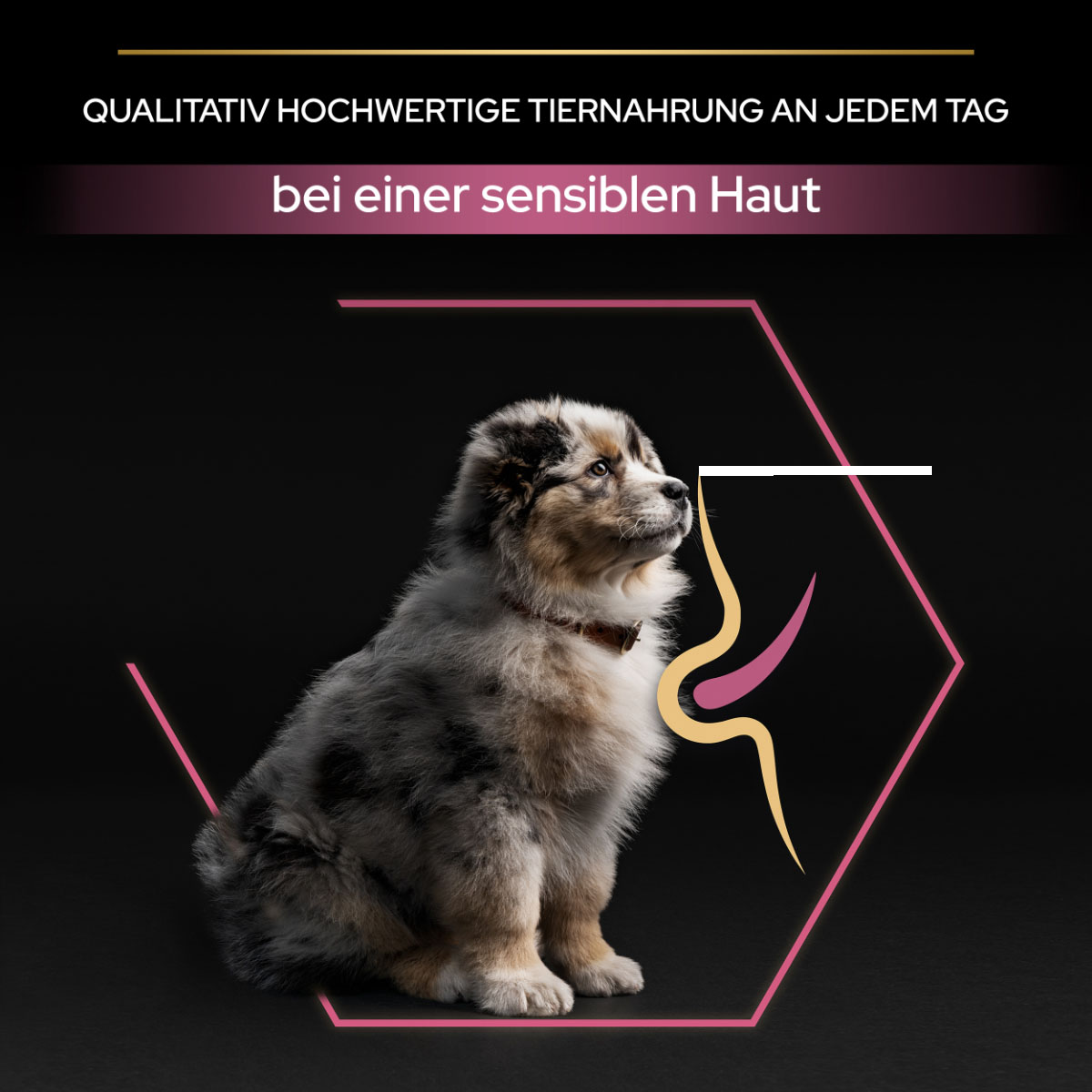 PRO PLAN Medium Puppy Sensitive Skin Lachs kaufen bei ZooRoyal