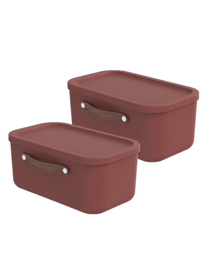 Rotho 2er-Set Kiste mit Deckel Maloja 12l in Iron rot günstig kaufen onesize