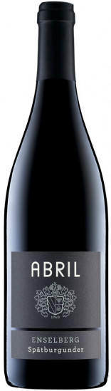 2021 STEIN Spätburgunder trocken Bio - Weingut Abril