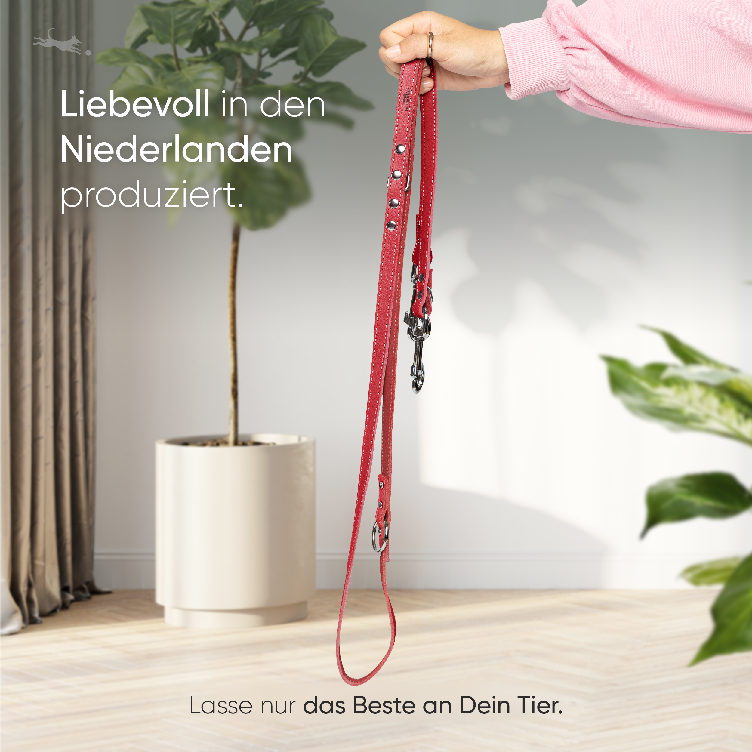 Freudentier Hundeleinen Freudentier Hundeleine aus Leder, verstellbar rot 2 cm