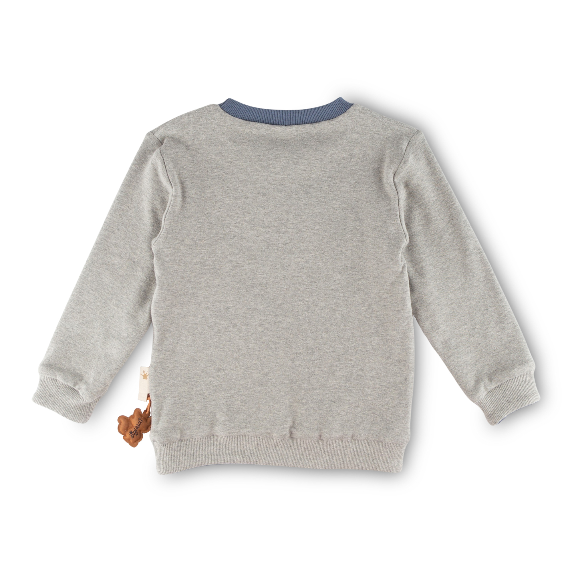 Kinder Langarm Wendeshirt Forest Adventure, blau oder gr