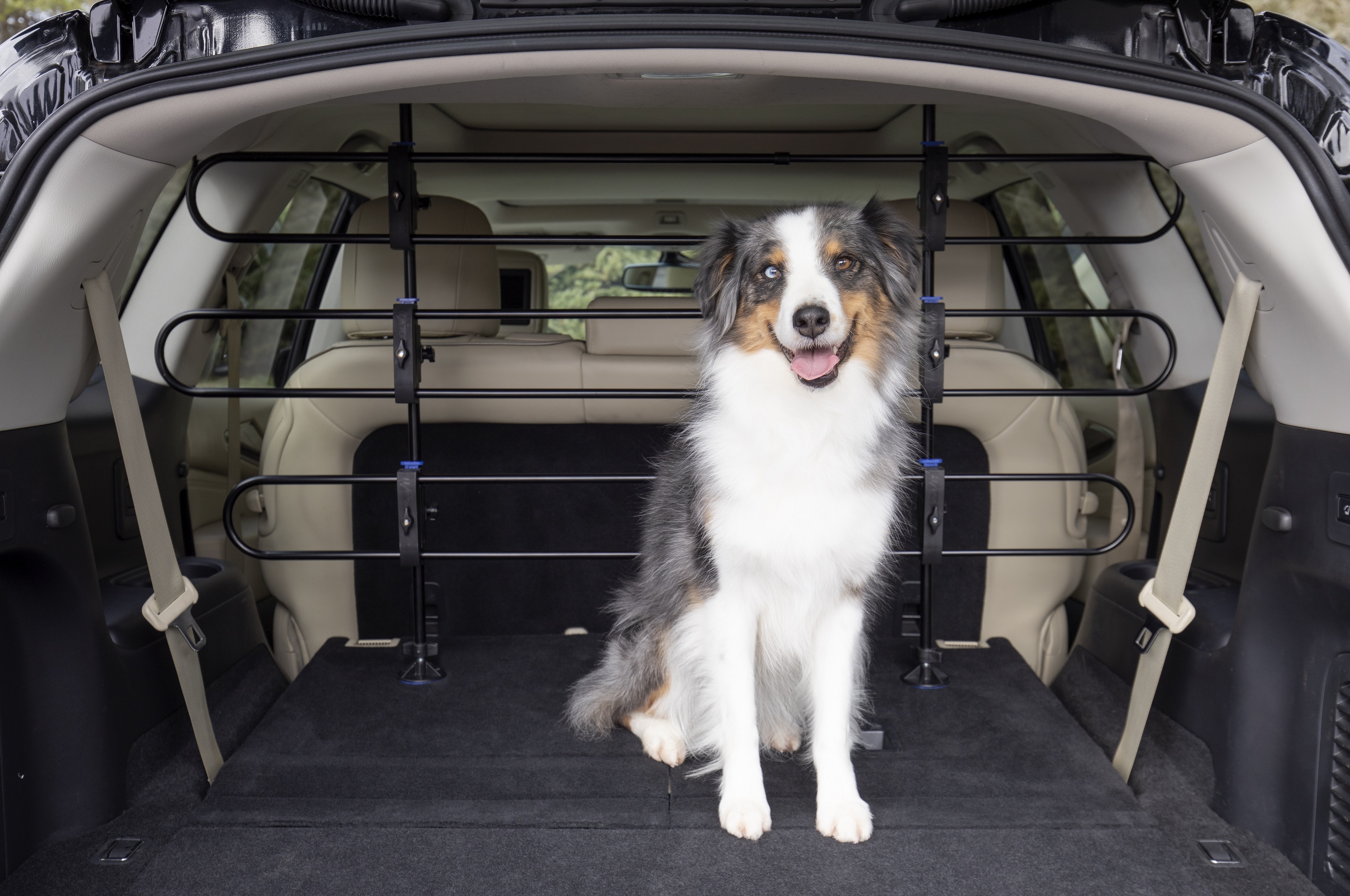 PetSafe Autozubehör PetSafe Happy Ride Hundeschutzgitter