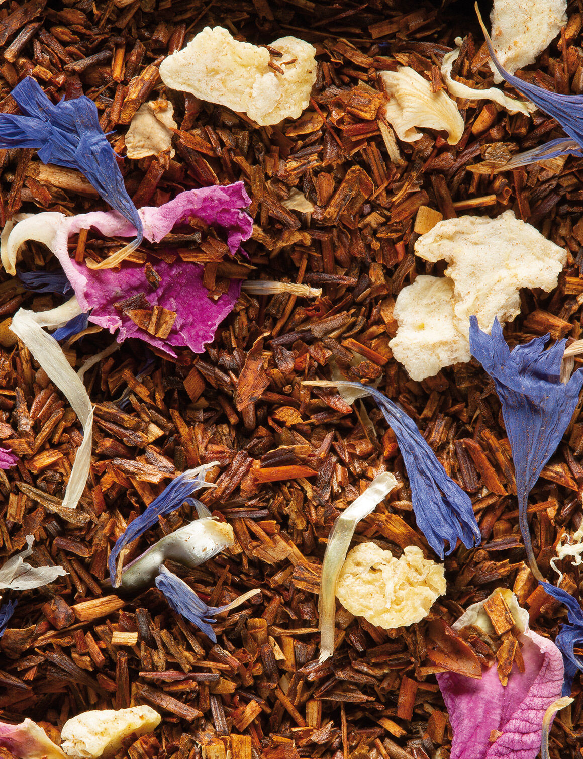 Rooibos Oriental-24 sachets enveloppés