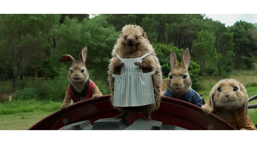 Peter Hase