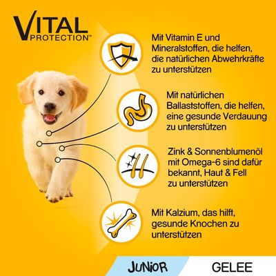 Pedigree Junior Frischebeutel Multipack