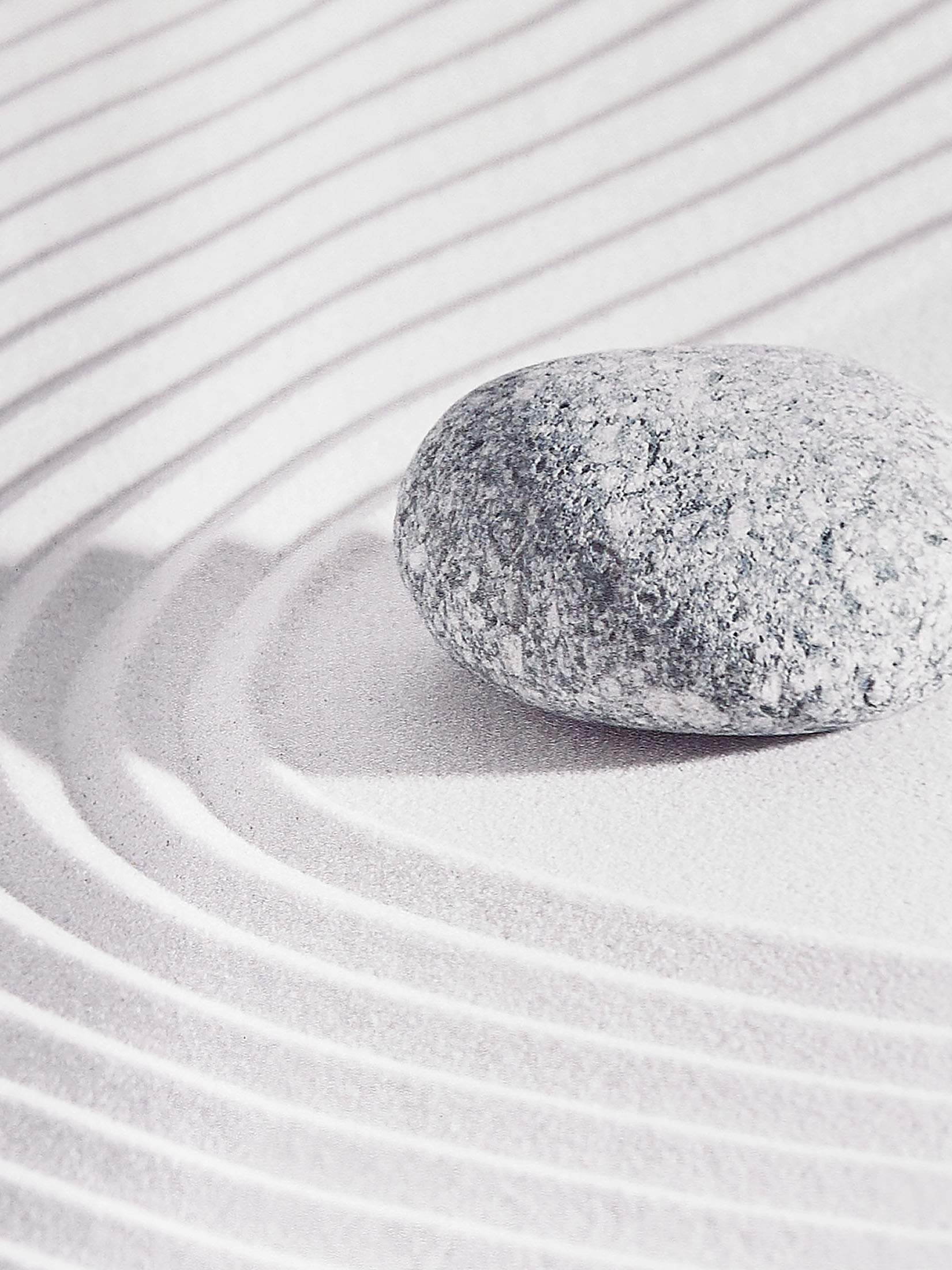 Digital Rollo Rollo, Zen Garden