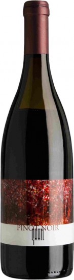 2019 Pinot Noir trocken - Weingut Gratl