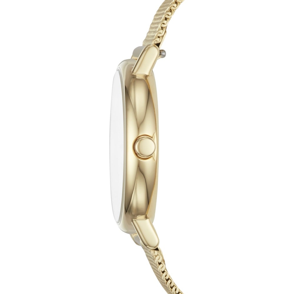 Skagen Montre pour femme Acier inoxydable Montre