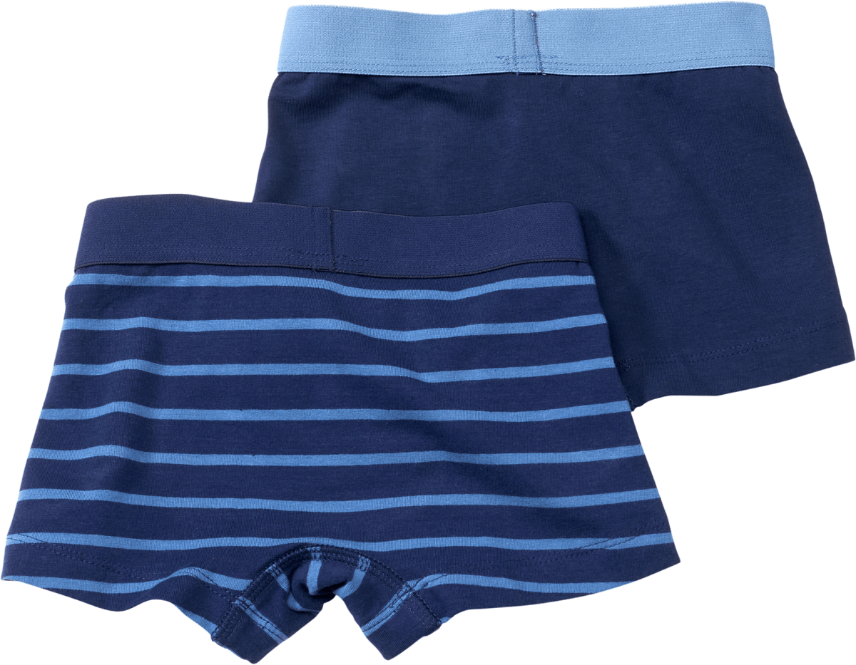 Pants, blau, Gr. 110/116, 2 St
