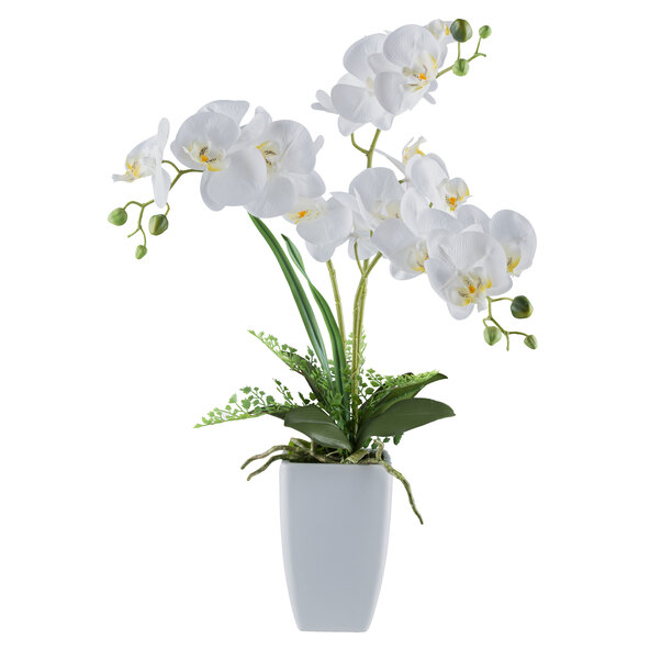 Künstl. Phalaenopsis in Keramikvase, 67 cm