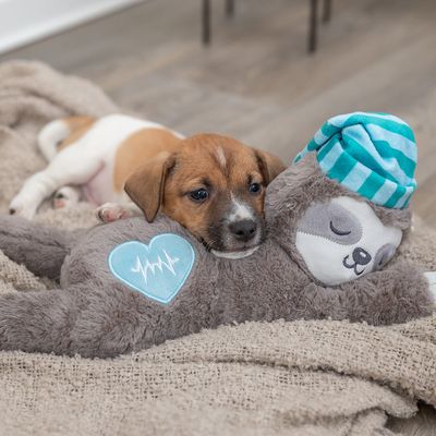 Trixie Junior Hundespielzeug Faultier