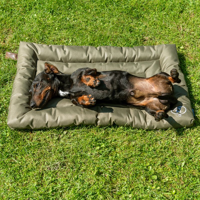 Nomad Tales Spirit Outdoor Hundekissen Pine
