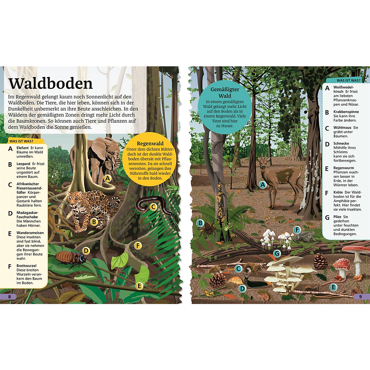 Superchecker! Wald