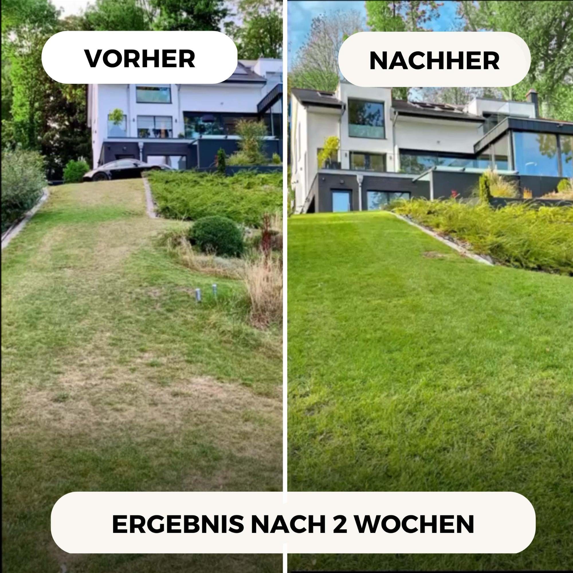 TerraUno Rasendünger Rasendünger Frühjahr-Sommer mit Sofort und Langzeitwirkung