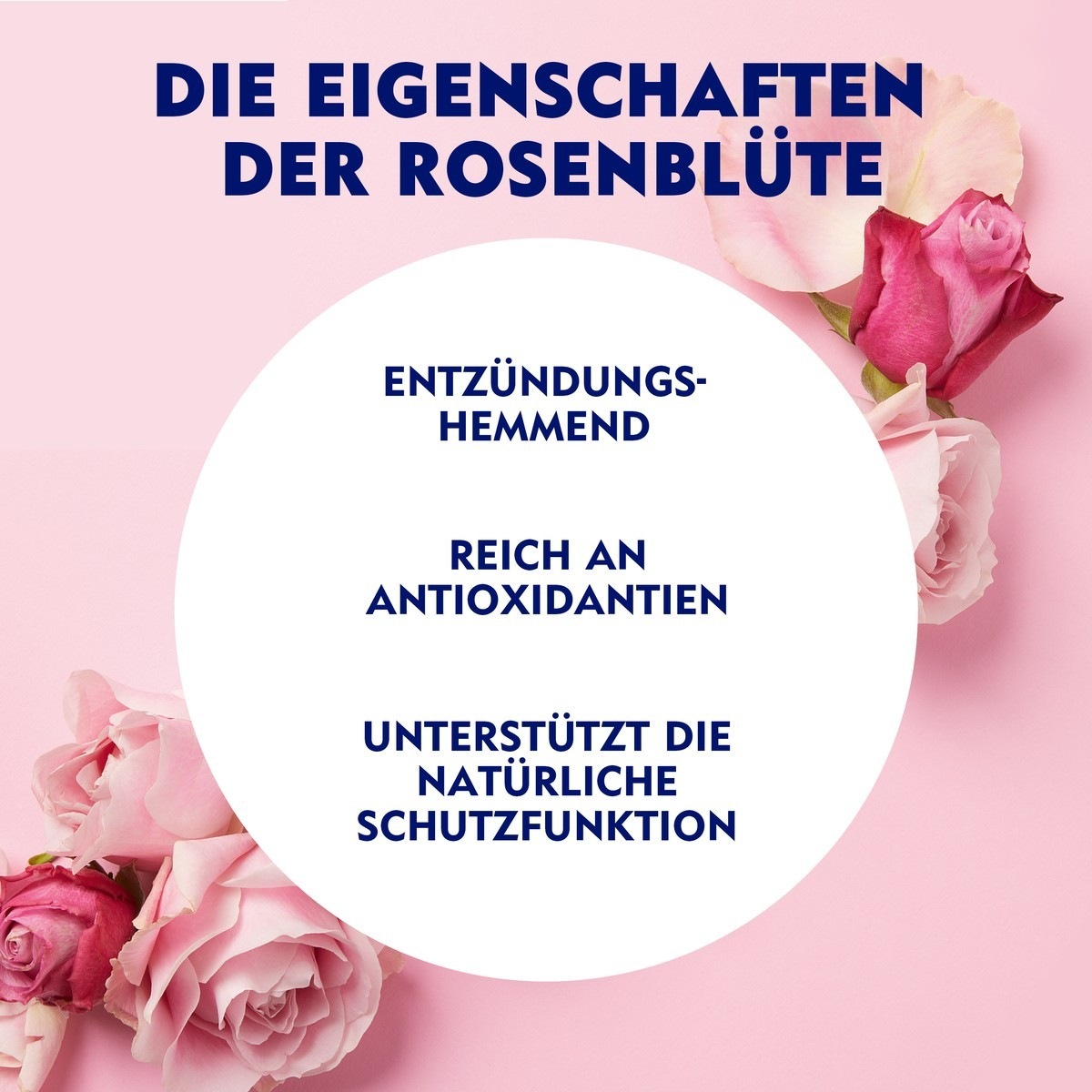 Rosenwasser Mizellenwasser