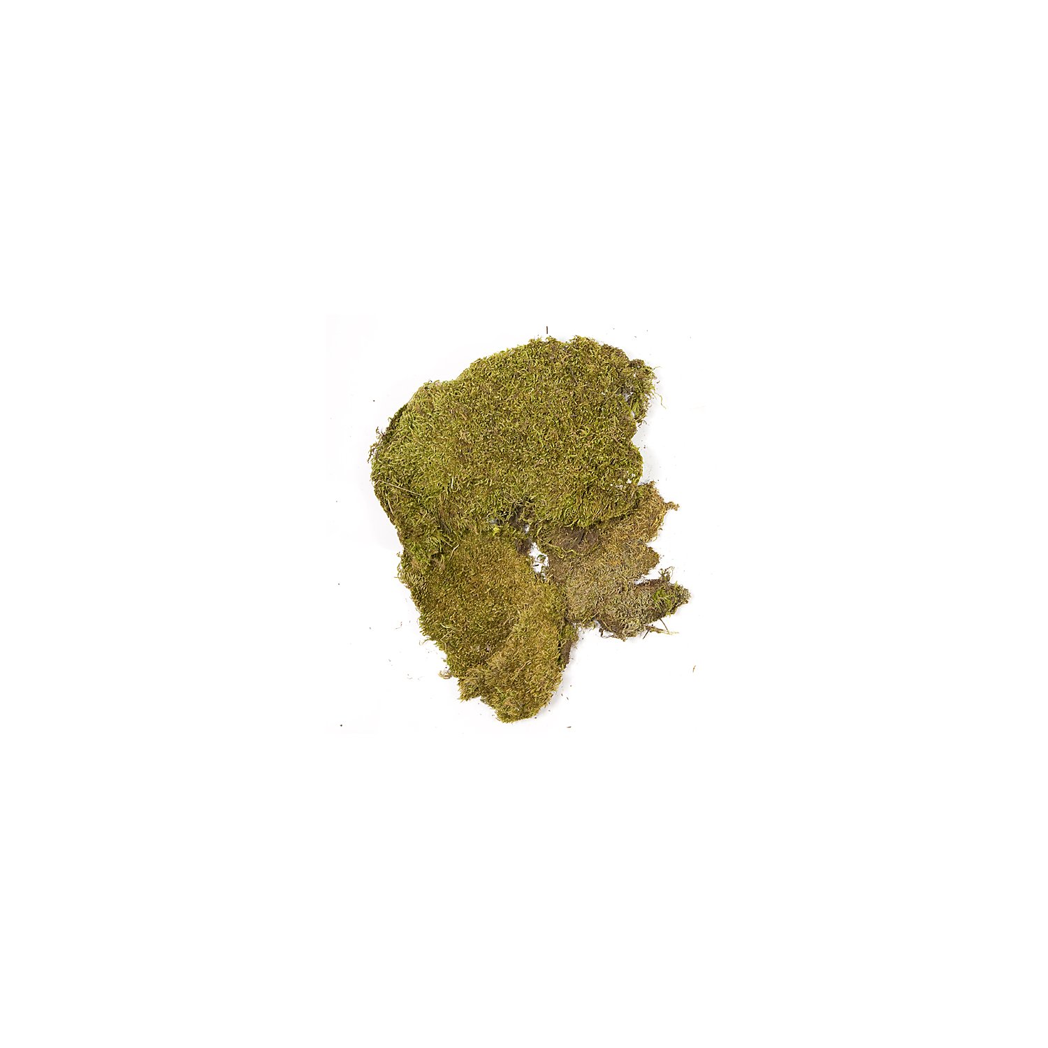 Echte Moosplatten, 100 g