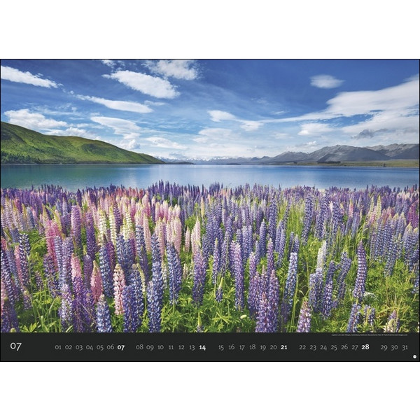 LANDSCAPES EDITION KALENDER 2024 - Kalender