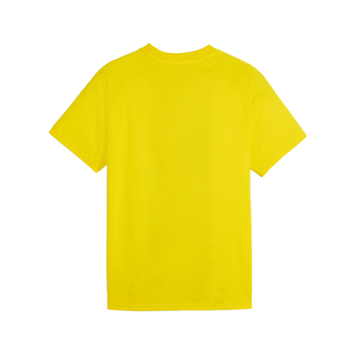 PUMA BVB Dortmund Prematch Shirt 2023/2024 Kids Gelb F01