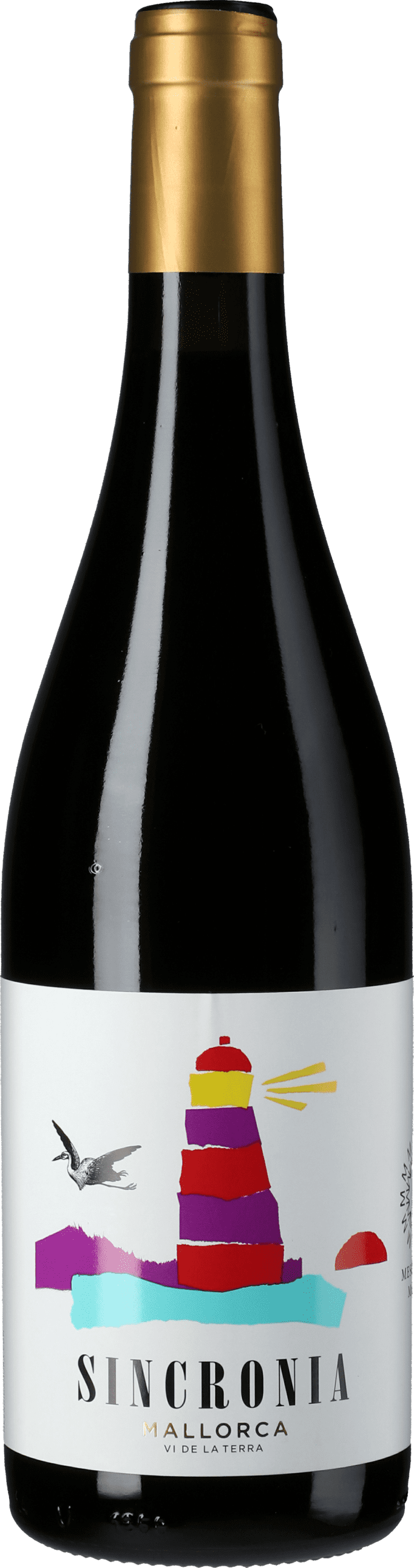 Mesquida Mora: Sincronia Negre 2022