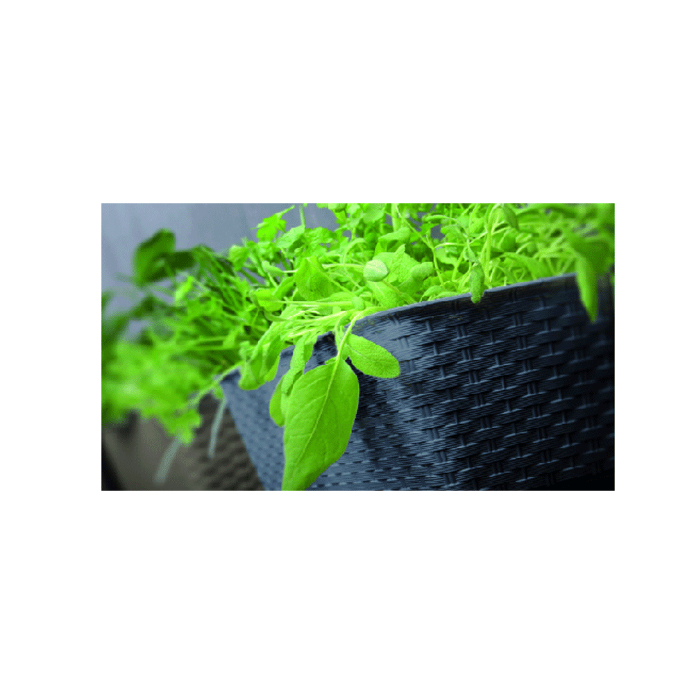 Protanic Pflanzkasten-Komplettset - Anthrazit, 2er Set