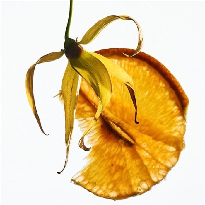 Eau de Toilette Spray
