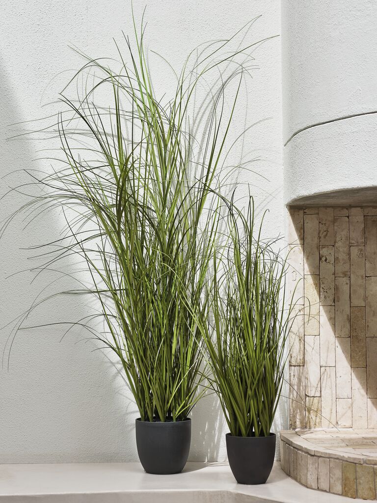 MARKUSFLUE Sztuczna roślina MARKUSFLUE H150cm trawa