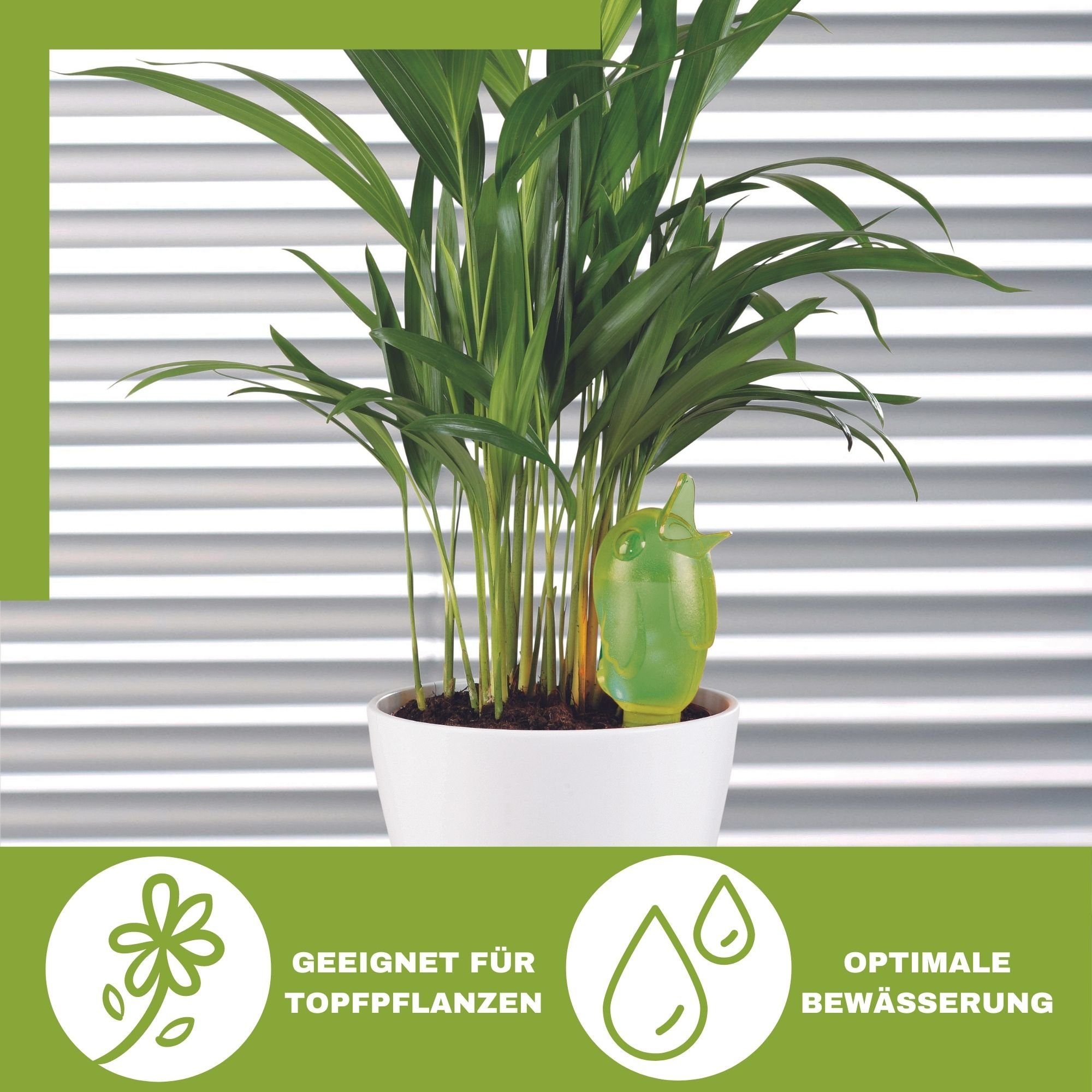 Scheurich Bewässerungssystem -, (Spar-Set, 4-tlg), Scheurich Wasserspender Bördy S 90 ml