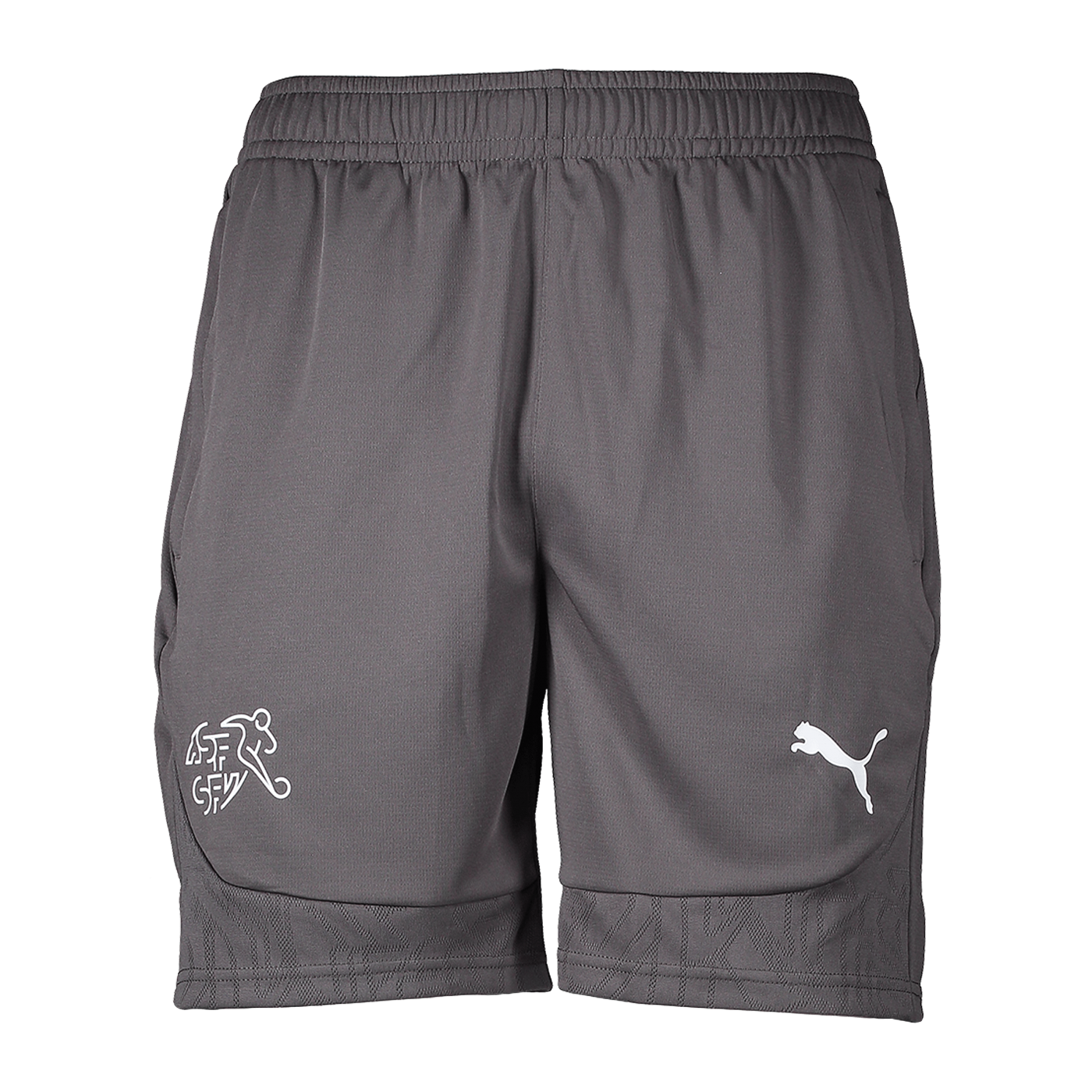PUMA Schweiz Trainingsshort EM 2024 Grau F11