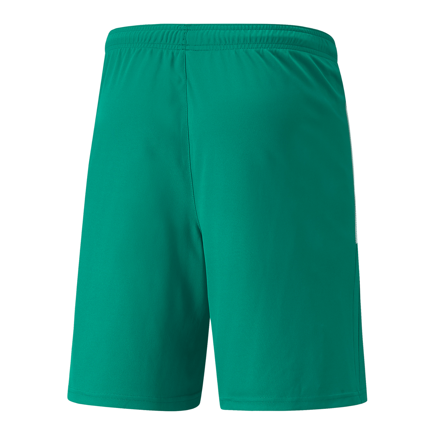 PUMA teamLIGA Short Grün Weiss F05