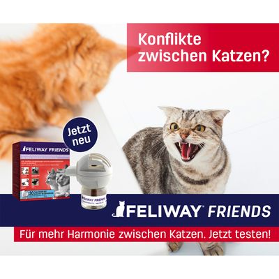 Feliway® Friends