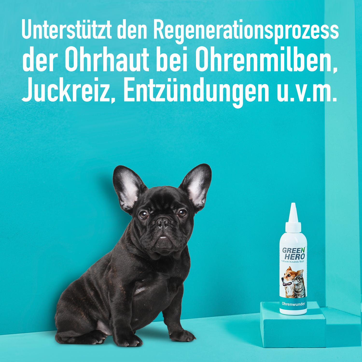 Greenhero Augen- & Ohrenpflege Greenhero Ohrenwunder