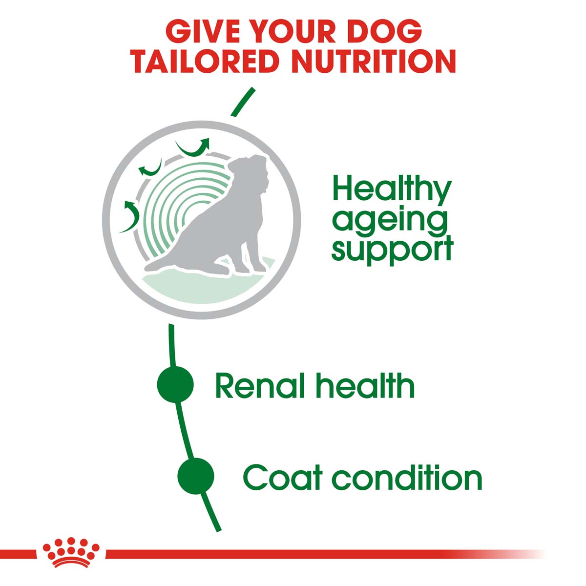 ROYAL CANIN MINI Ageing 12+ Trockenfutter für ältere kleine Hunde