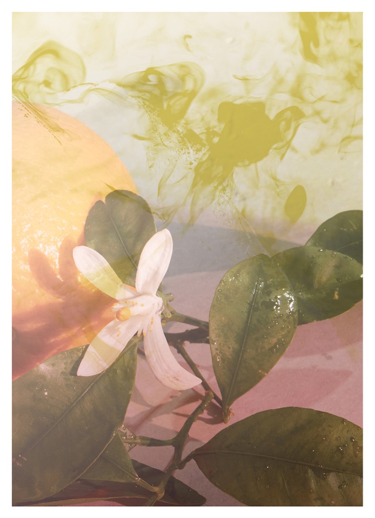 Apa de toaleta Dries Van Noten Orange Smoke