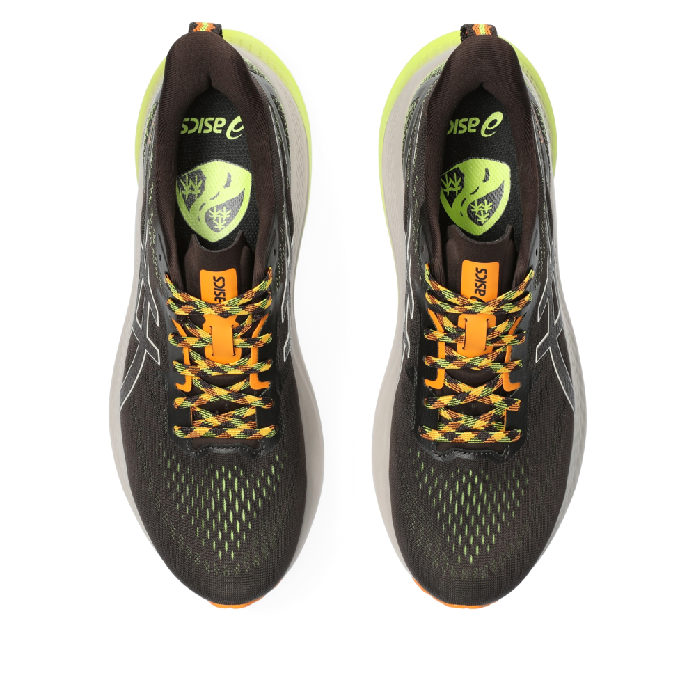 Asics GT 2000 12 TR 1011B775-200 / braun