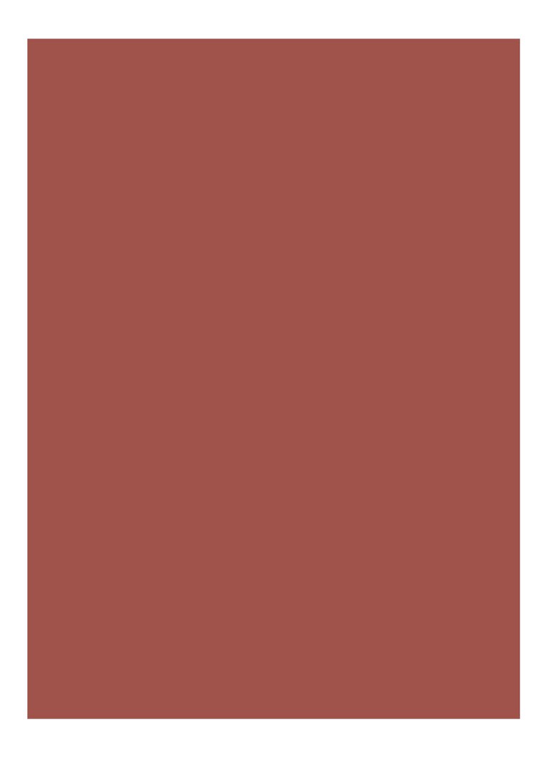 Bobbi Brown Luxe -huulipuna