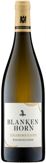 2020 Schliengener Ölacker Weissburgunder VDP.ERSTE LAGE® trocken - Weingut Blankenhorn
