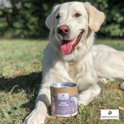 PAWS & PATCH MSM Pulver
