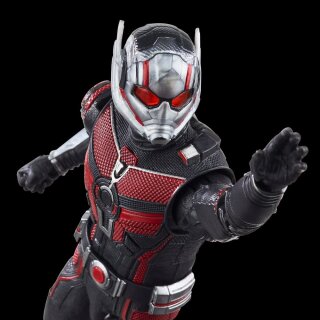 Marvel Legends Series: Cassie Lang BAF: Ant-Man