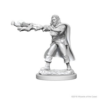 Human Male Sorcerer: D&D Nolzurs Marvelous Unpainted Minis