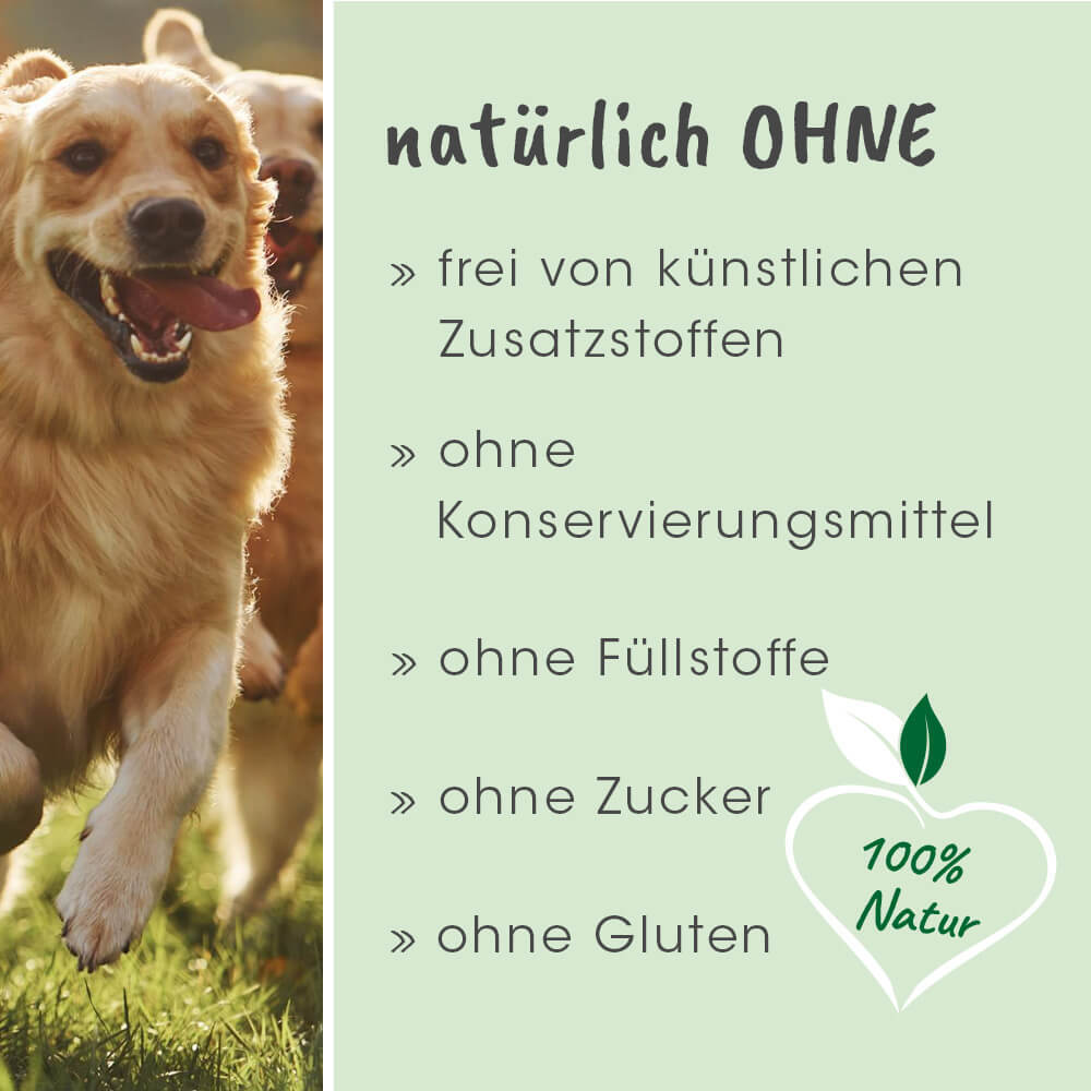 dentaVet Zahnpflege dentaVet Anti-Plaque