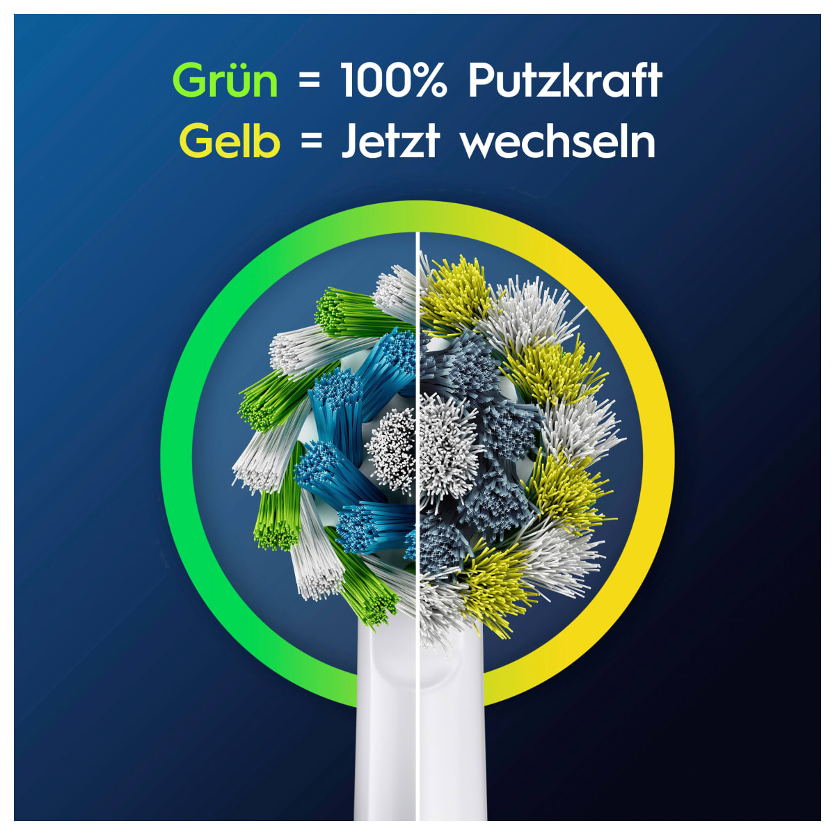Aufsteckbürsten PRO CrossAction, 8 St