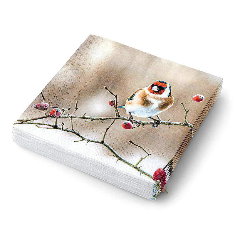 Vie Eco Servietter 20-pk 33x33 cm, Vinter