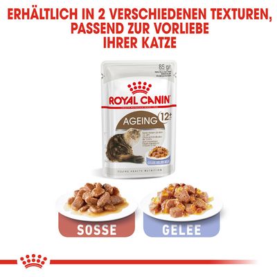 Royal Canin Ageing +12 in Gelee