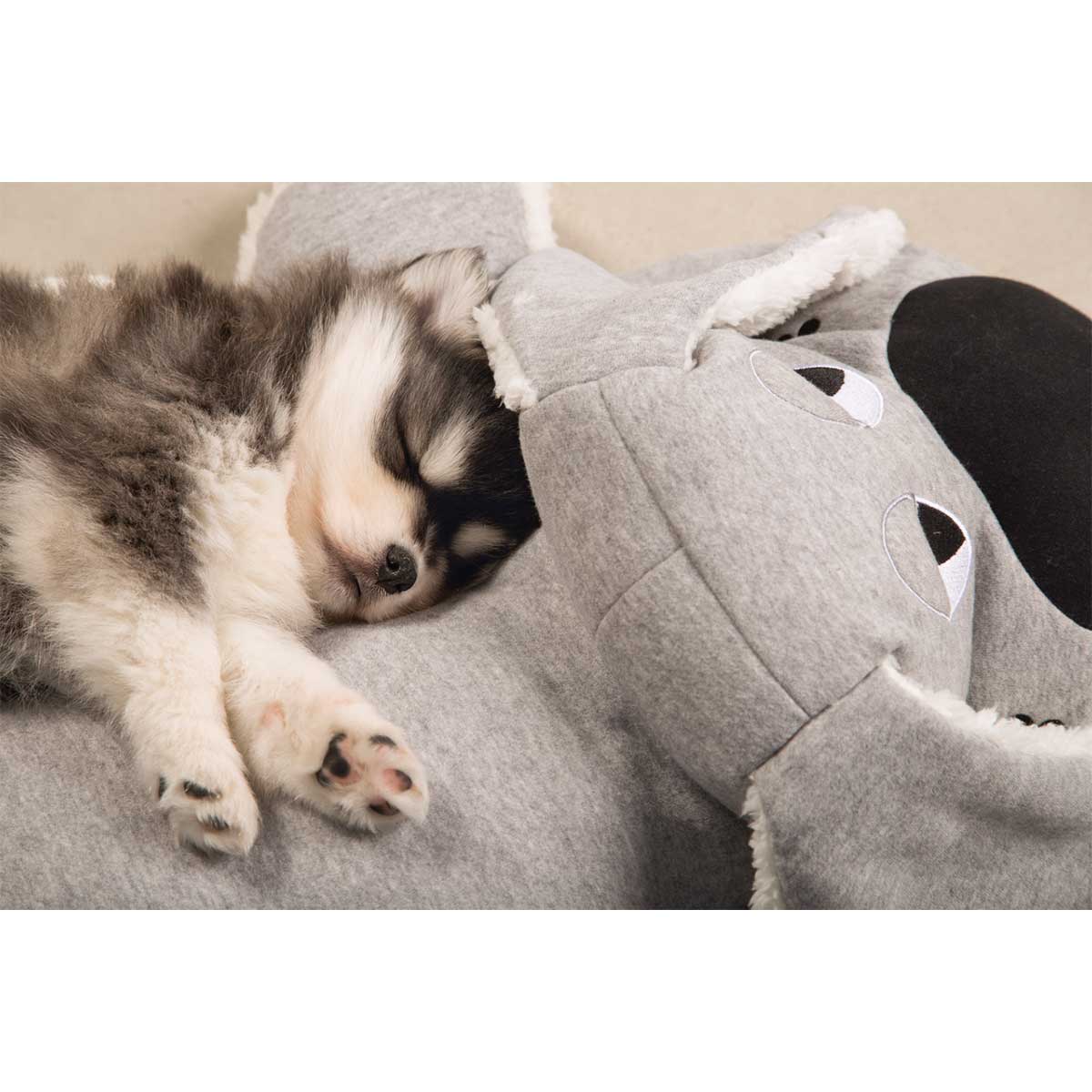 beeztees Puppy XL-Kuschelspielzeug Boomba kaufen bei ZooRoyal